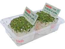 Goat fioroni with chives